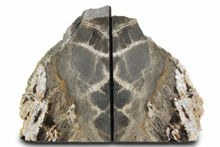 Petrified Wood (Oak) Bookends - Oregon #382134